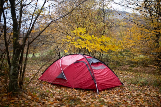 camping tent in the forest