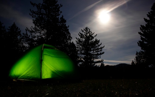 Camping tent in the forest