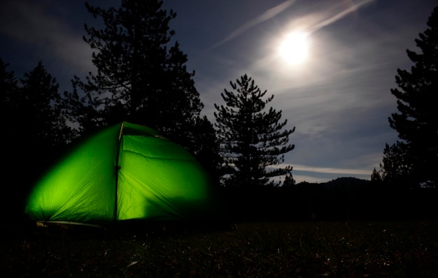 Camping tent in the forest