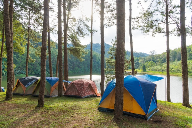 Camping tent on the grass