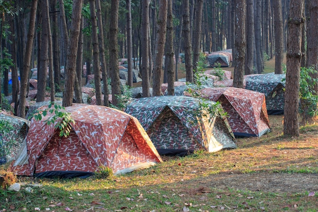 Camping tent in het bos.