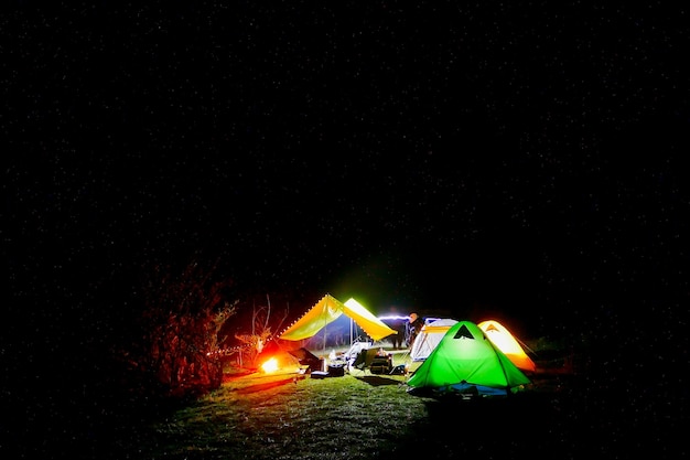 숲에서 밤에 캠핑 텐트