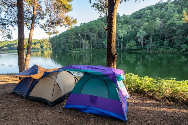 Camping tent in pine forest on reservoir at sunset,pang oung,mae hong son,thailand