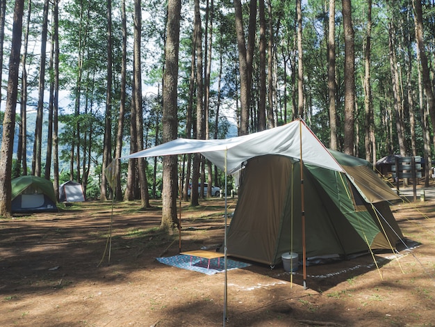 Tenda da campeggio nella pineta