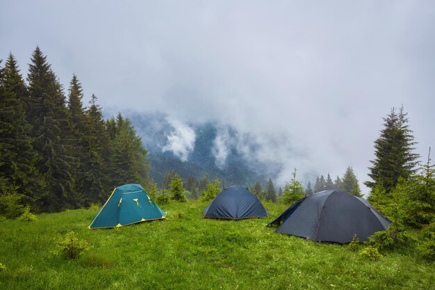 Camping and tents in the forest in the mountains