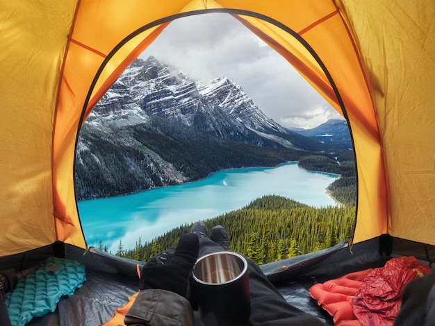 Icefields ParkwayのPeyto Lakeにオープンした黄色のテントにカップを置いてキャンプ