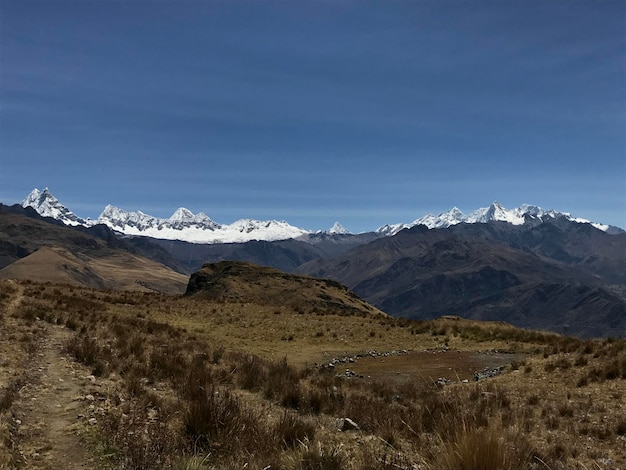 campo amplio frente a los nevados