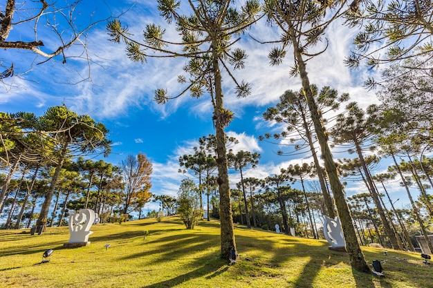 CAMPOS DO JORDAO, BRAZIL - JULY 04, 2017: Felicia Lierner Museum garden