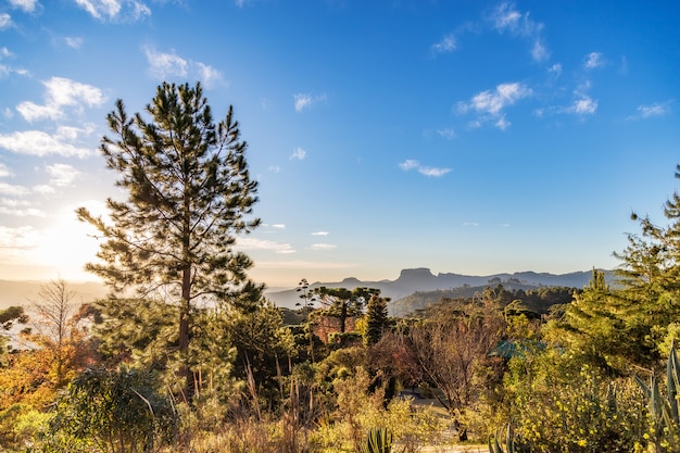 Campos do jordao, brasile. vista di pedra do bau