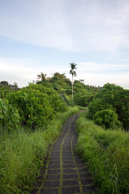 Ubud, Bali, Indonesia의 Campuhan Ridge Walk