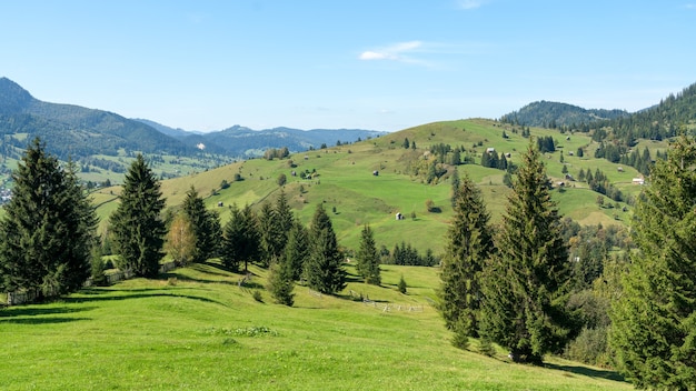 CAMPULUNG MOLDOVENESC, TRANSYLVANIA/ROMANIA - SEPTEMBER 18 : Farmland near  Campulung Moldovenesc Transylvania Romania on September 18, 2018