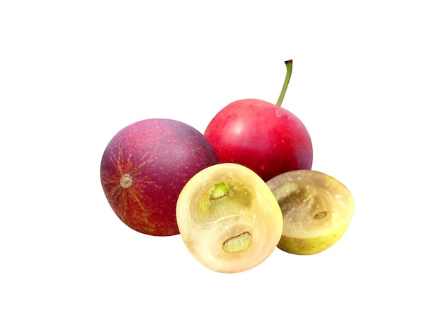 camu camu or camocamo is a eadble fruits and used in ice creams sweets and traditional medicine