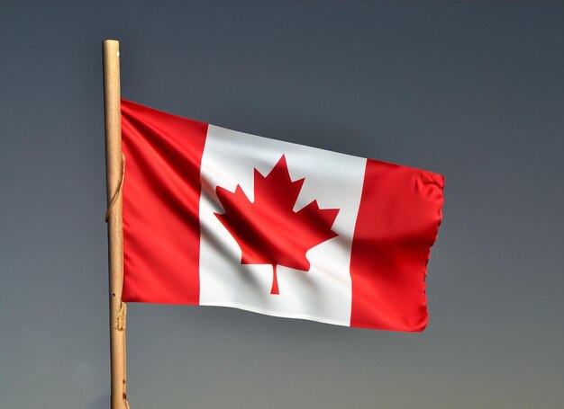 Canada dag viering met Canada vlag