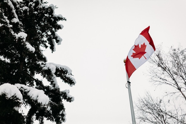 Photo canada flag blowing in the wind