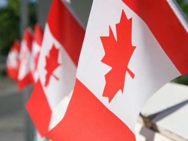 canada image background and wallpaper