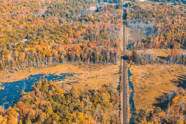 Canada, spoorweg door het bos met de herfstkleuren