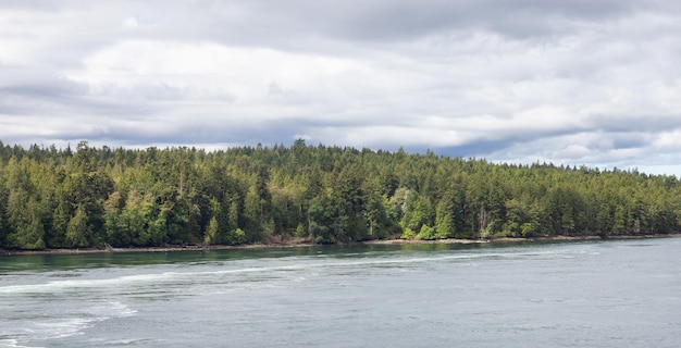 Canadees landschap bij de oceaan en de bergen zomerseizoen