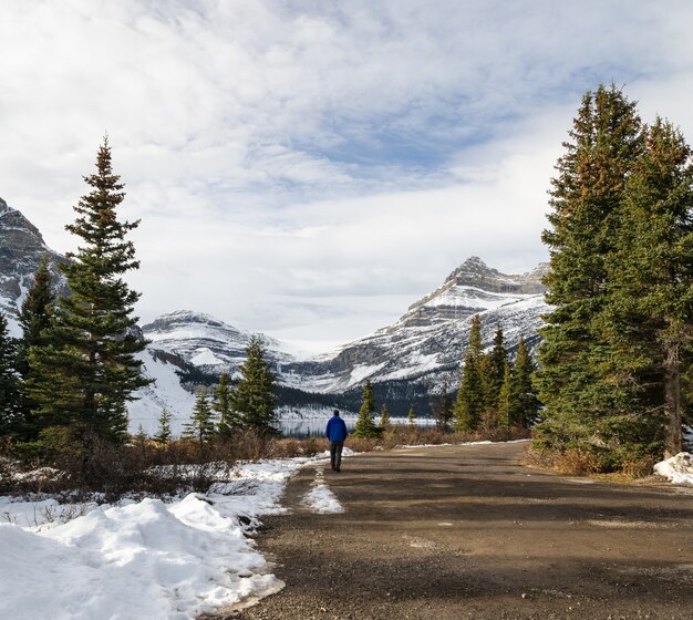Canadese Rockies Berg en pad naar Bow Lake in Banff National Park, Alberta, Canada