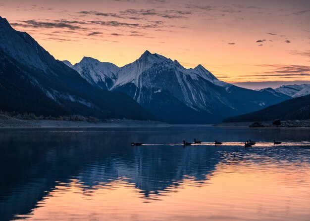 Canadese Rockies met kleurrijke hemel en troep van wintertaling die op Geneeskundemeer drijven in het nationale park van Jasper