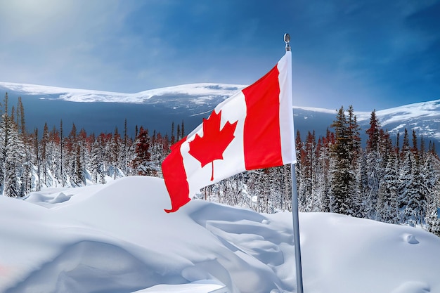 A canadian flag in the snow with the mountain in the background