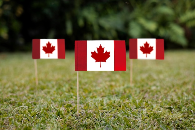 Canadian flags in grass