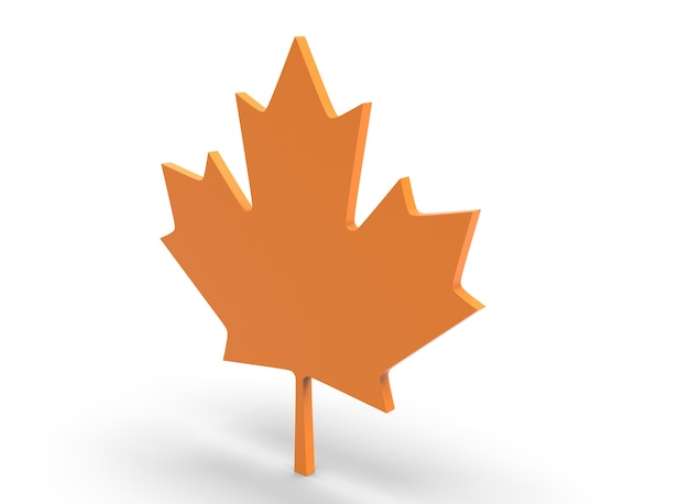 Canadian maple leaf on white background