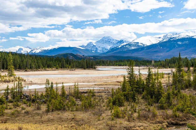 Photo canadian rockies jasper national park stunning nature scenery athabasca river snow capped mountains