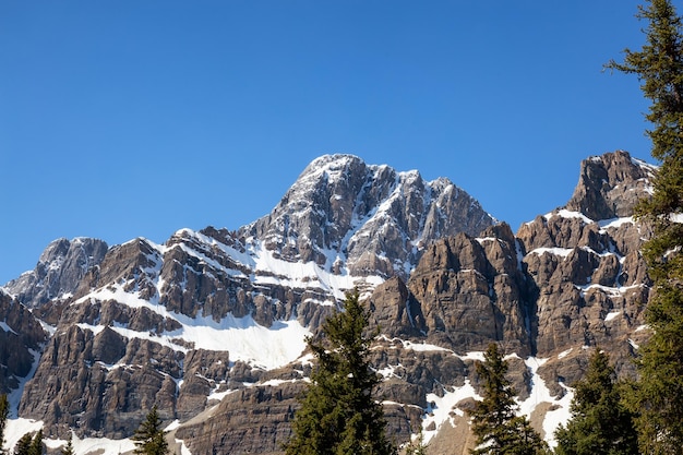 Canadian Rockies tijdens een levendige zonnige zomerdag