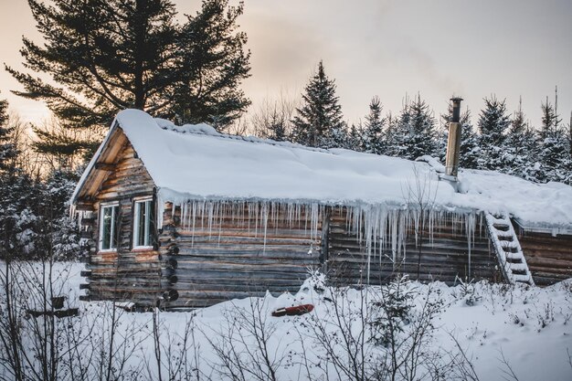 Photo canadian round log wood shack during winter