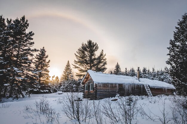 Canadian Round Log Wood Shack during Winter