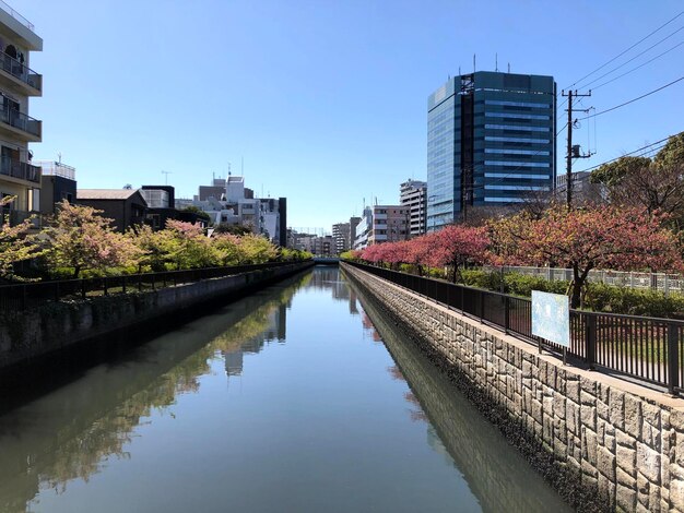 写真 街の空に照らされた建物の中の運河