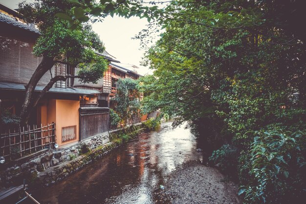 写真 雨季の都市の建物の中の運河