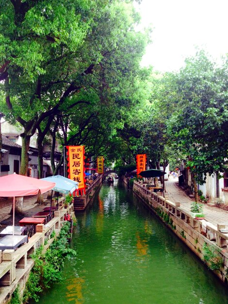 Canal amidst trees in town