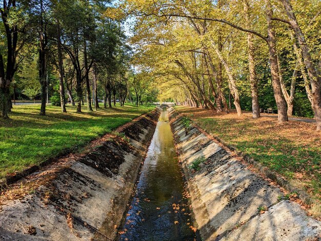 Фото Канал в осеннем парке