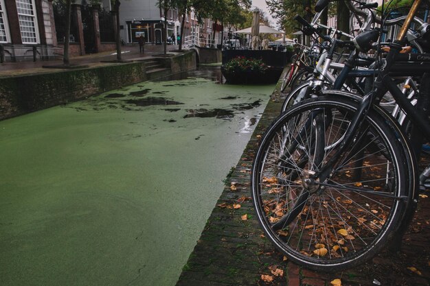 Canal with green plants and bicycles on the sidewalk