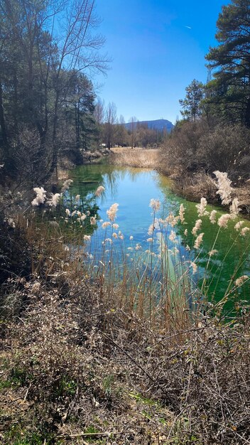 Foto canamares strand aan de canamares rivier in de provincie guadalajara in castilla la mancha spanje