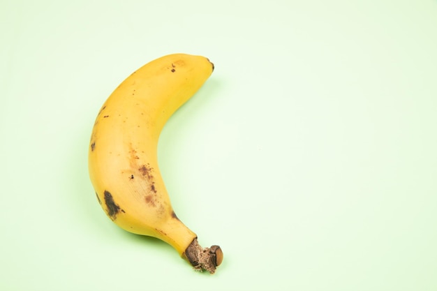 Canary banana on a green background