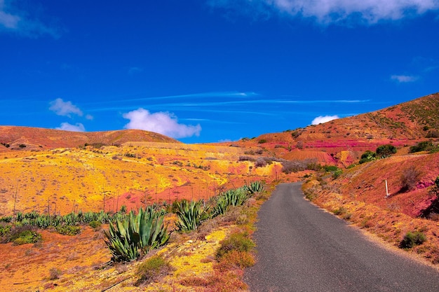 Canary islands Fuerteventura countryside Desert Road Travel vacation concept stylish banner