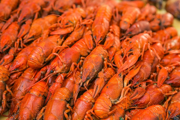 Cancers Boiled red crawfish Crawfish ready to eat Beer snack Louisiana Crawfish Boil
