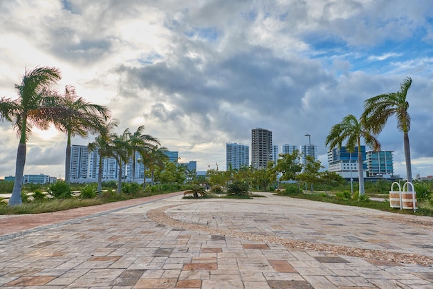 Cancun city landscape with palm trees in windy weather