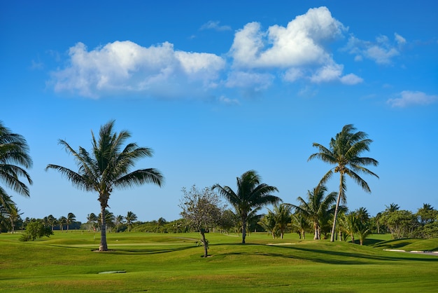 Cancun Mexico Kukulcan blvd golfbaan