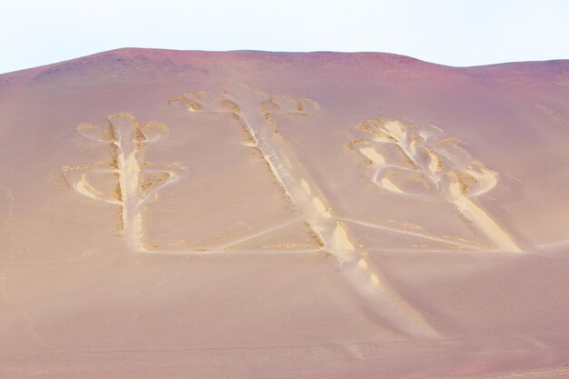 Candelabra Peru oude mysterieuze tekening in het woestijnzand Paracas National Park