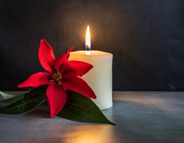Foto candela che brilla di fiori rossi al buio