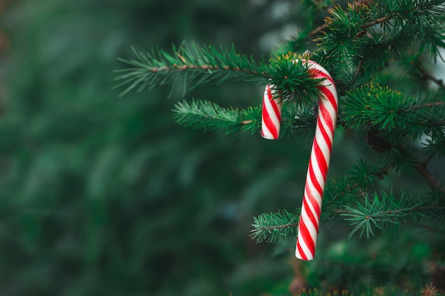 Candy cane een roodgestreepte pepermuntstok die buiten aan een kerstboom hangt