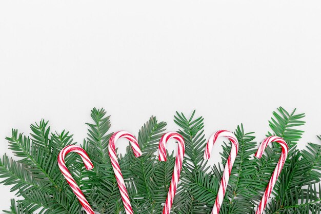 candy canes christmas tree branches on a grey background christmas concept copy space