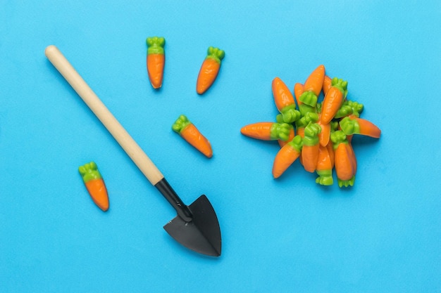 Candy in the shape of a carrot and a small shovel on a blue background. Minimal harvest concept. Creative photo. Flat lay.