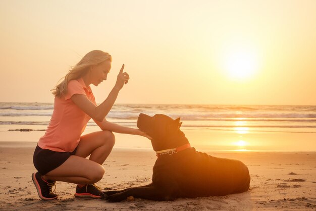 サンセットの海のビーチでカネコルソとトレーナー犬チューおもちゃ。