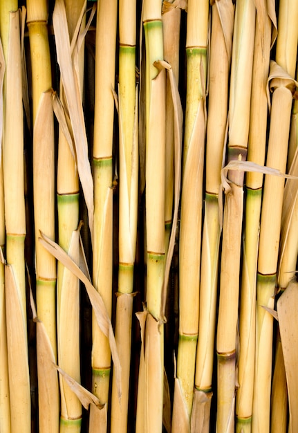 Cane texture used as fence or sunroof