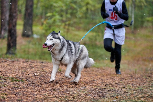 Canicross Mushing-race voor honden