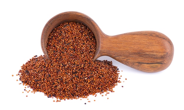 Canihua grains isolated on white background Pile of qaniwa in wooden spoon Dry grains of chenopodium pallidicaule